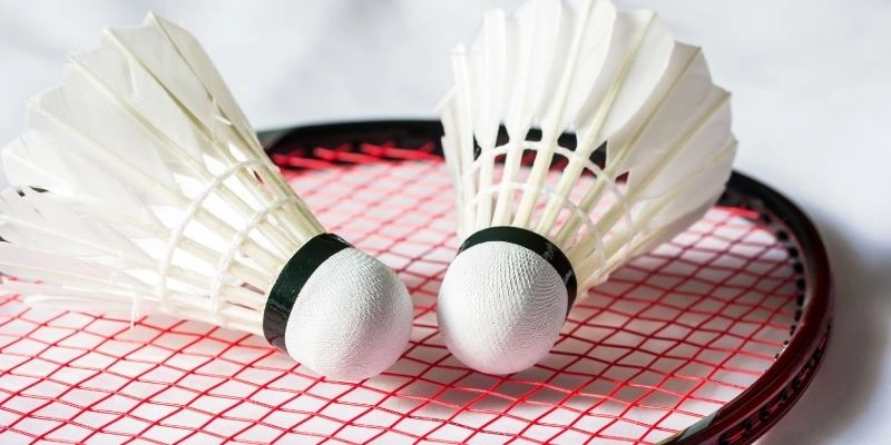 Đánh Giá Vợt Cầu Lông Mizuno JPX 8.1