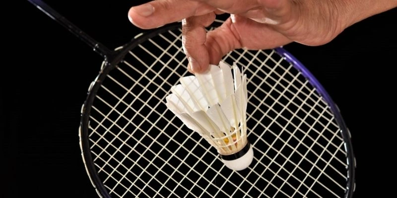 So Sánh Vợt Cầu Lông Yonex Nanoflare 700 Và 800