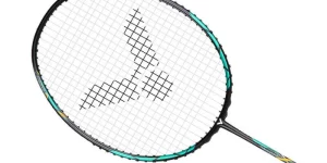 Sonic Rebound Technology